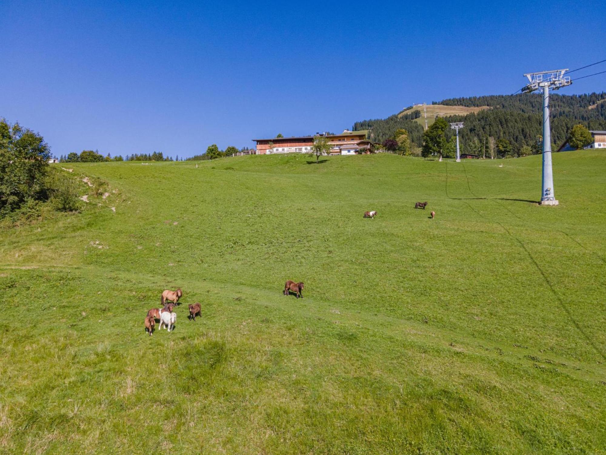 Igl Hof Top 2 Westendorf Exterior foto